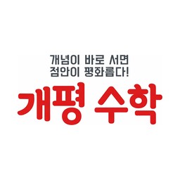개평 수학 - 개념이 바로 서면 점안이 평화롭다!